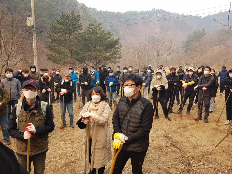 울진군 산불 진화 지원활동/ 잔불제거 작업 사진